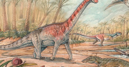 Nova espécie de titanossauro com “só” 6 m de comprimento é descoberta na Argentina