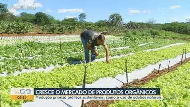 Governo promove 29 exonerações e nomeações na Administração de Fernando de Noronha