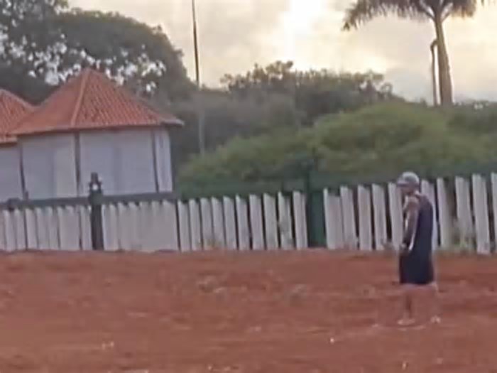 Homem que invadiu recinto de elefante é indiciado