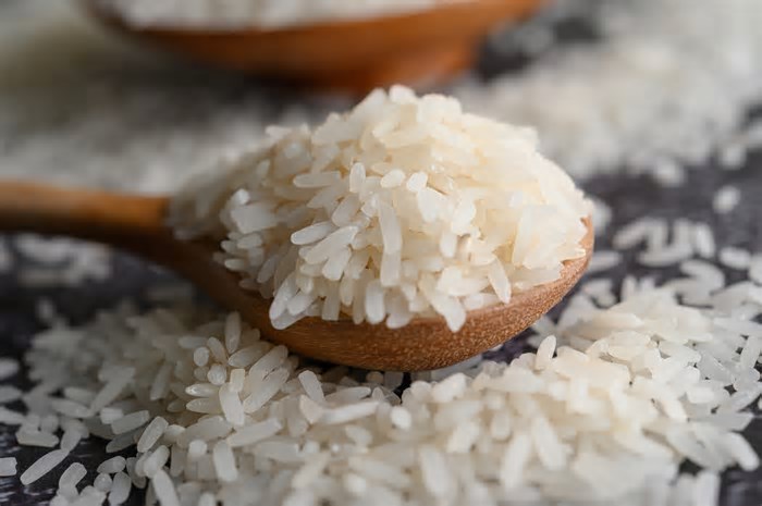 Ciência brasileira inova para produzir arroz com maior sustentabilidade e com menor impacto ambiental