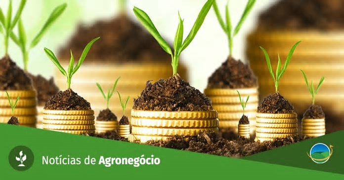 Canadá anunciará C$29,8 bi em tarifas retaliatórias contra os EUA, diz autoridade