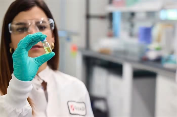 Novo antiviral contra HIV deve proteger pacientes por até um ano, sugere estudo