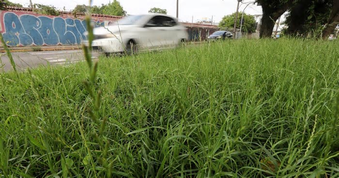 Secretaria de Gestão Urbana de Caxias começa a atuar segunda com desafio de melhorar aspecto da cidade