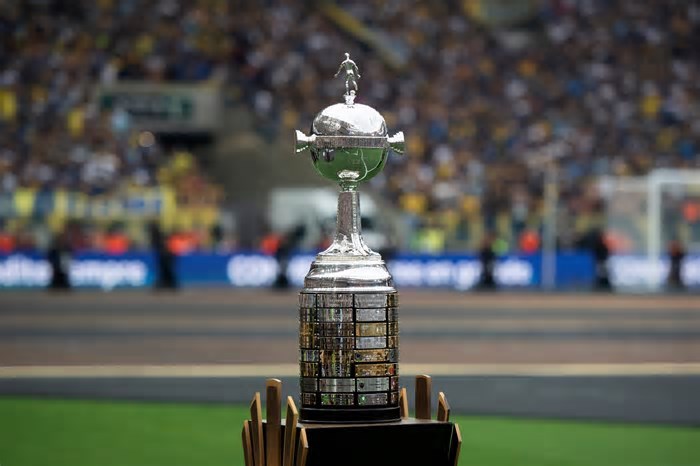 Taça Libertadores (Imagem: Delmiro Junior/Shutterstock)