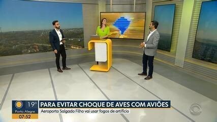 Aeroporto de Porto Alegre usa falcões, gaviões e fogos de artifício para evitar choque de aves com aviões; entenda