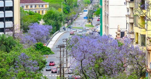 Porto Alegre recebe premio internacional! Cidades Globais das Árvores (Tree Cities of the World)