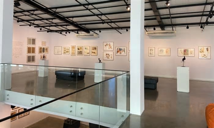Agenda Cultural de Joinville tem cinema, teatro, feiras e exposições