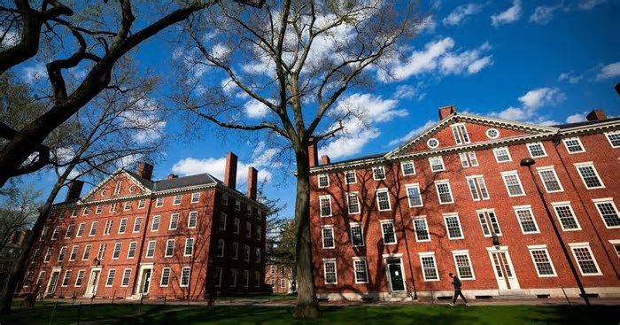 5 cursos de Harvard para fazer de graça em português