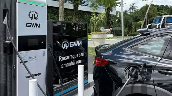 Mercado de carros elétricos e híbridos em 2025: o que esperar?