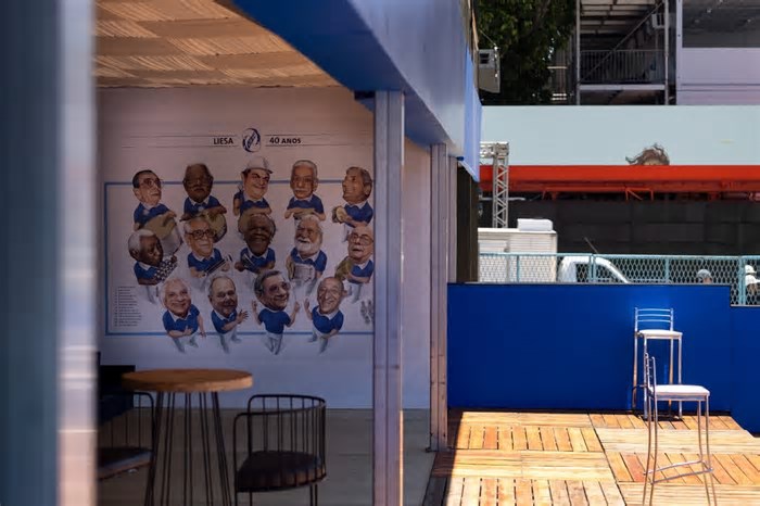Quem é o bicheiro de cada escola de samba do carnaval do Rio