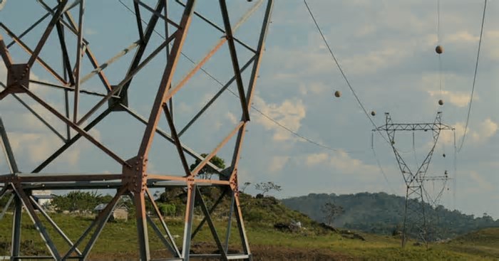 Inteligência artificial auxilia produtores a reduzir desperdícios e custos de energia
