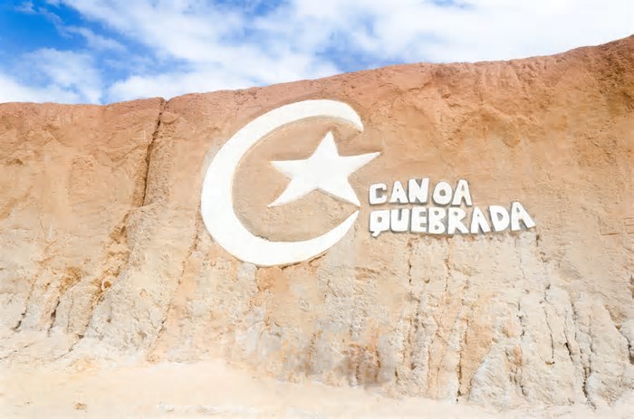 Pesquisadores identificam única espécie de canguru que não pula