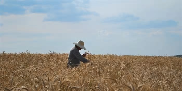 Valor Bruto de Produção agropecuária do RS é estimado em R$ 119 bilhões