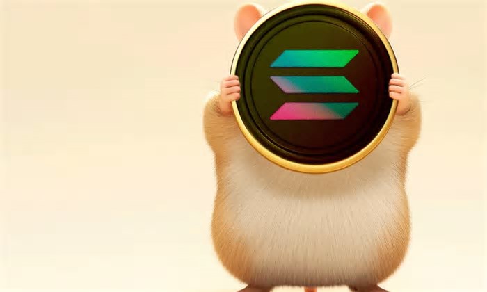 Sem DOGE, sem SOL: descubra as criptos favoritas dos investidores este ano
