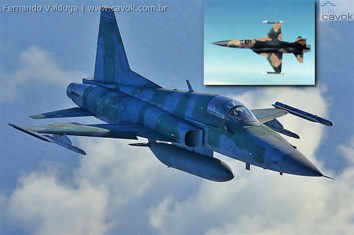 HISTÓRIA: 50 anos dos primeiros caças F-5 na FAB