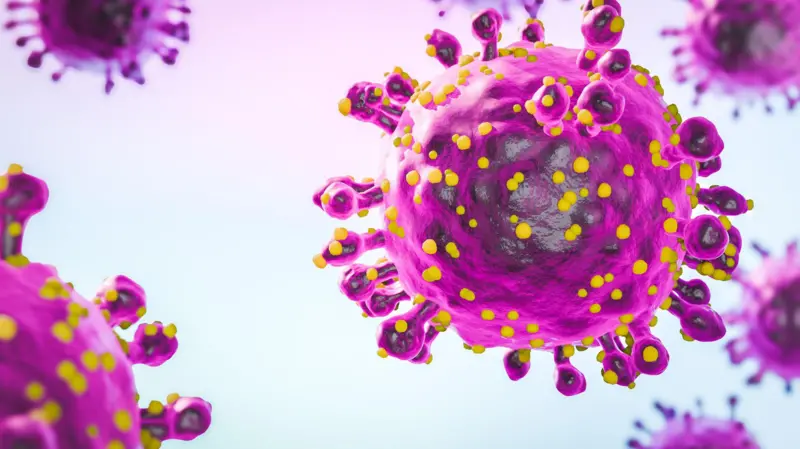 A lista do Reino Unido com chikungunya, oropouche e outras 'ameaças à saúde pública'