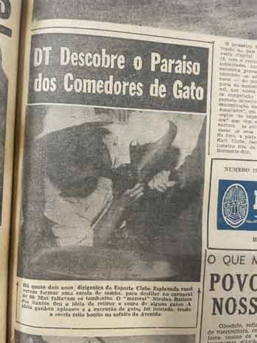 Em época de carne cara, BH optou por baleia e gato