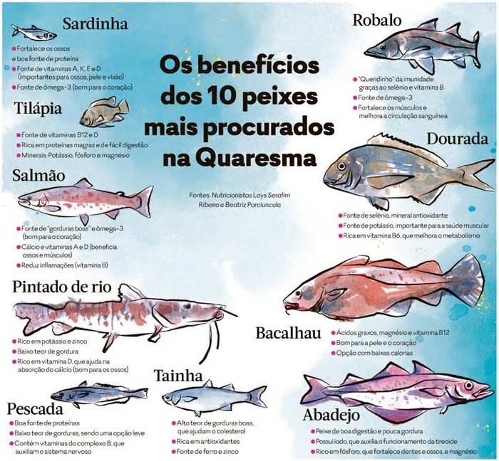 Confira os principais benefícios de dez peixes para inserir no cardápio durante a Quaresma