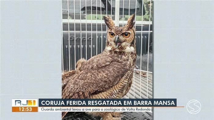 Parque Nacional do Itatiaia inaugura primeira cachoeira com acessibilidade no RJ