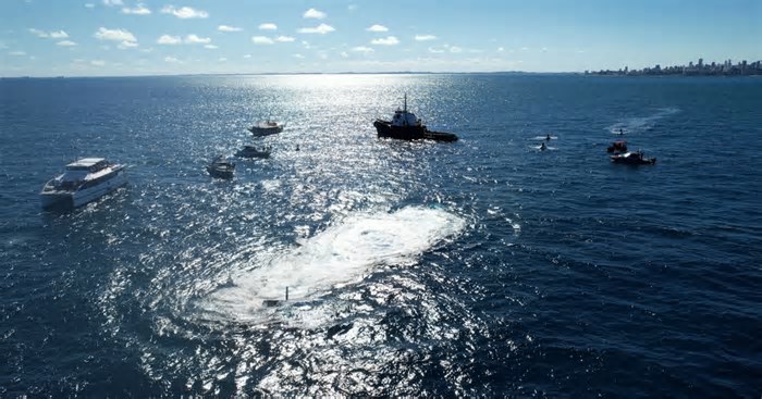 Embarcação é afundada no mar de Salvador para fomentar turismo de mergulho