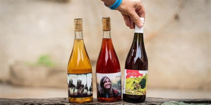 Evento vai reunir mais de 200 rótulos de vinho em Porto Alegre; veja a programação