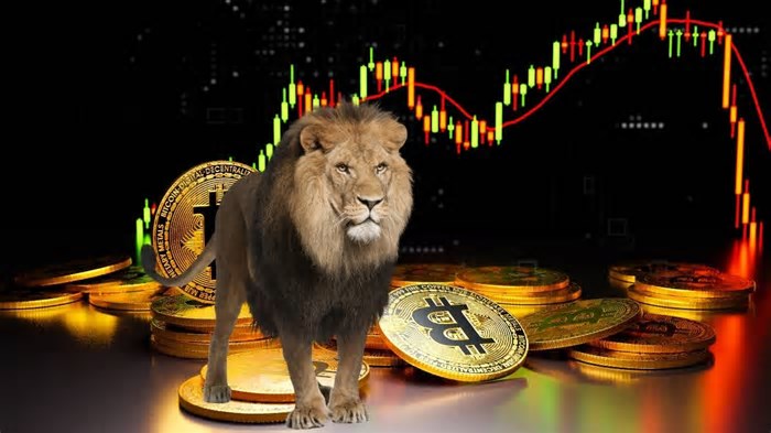 Precisa declarar criptomoedas no IR 2025? Confira passo a passo
