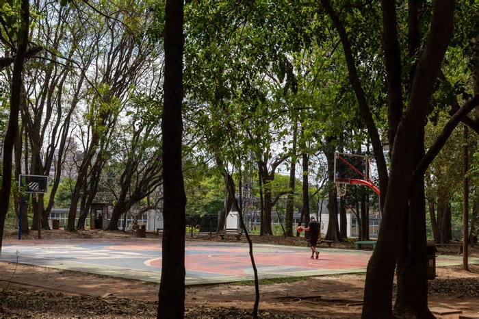 'Sentar num banco, ouvir passarinhos e relaxar não faz mais sentido', diz leitora sobre parques de SP