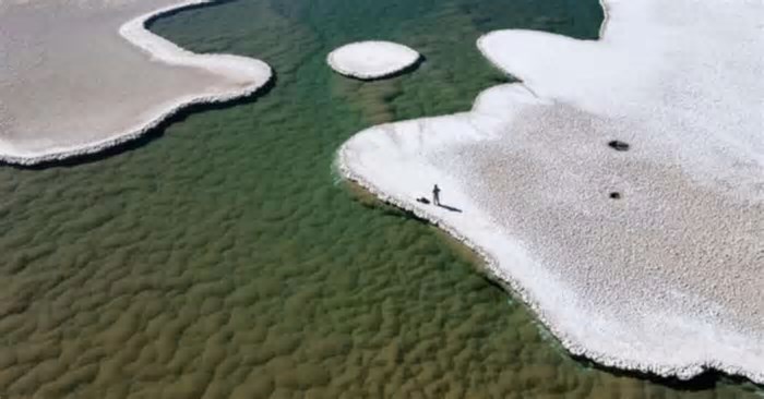 Lagoas de micróbios são descobertas em deserto na Argentina