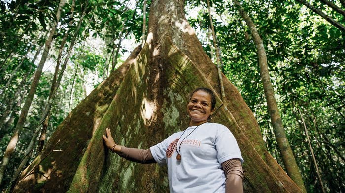 Negócios da floresta: como empreendedores da Região Norte impulsionam a bioeconomia