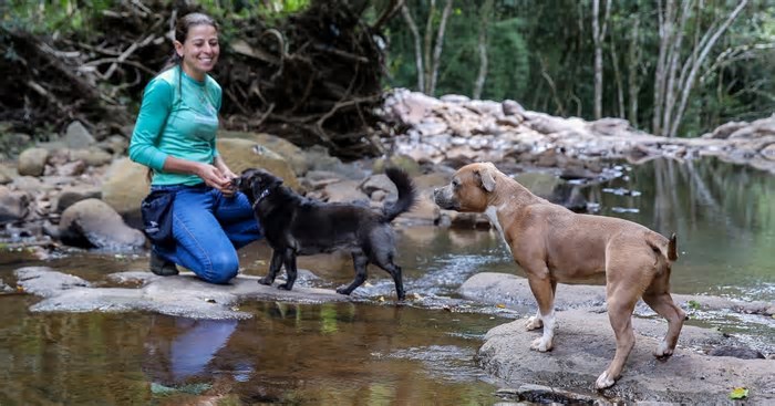 Com expectativa de movimentar até R$ 1 milhão em negócios, Caxias do Sul recebe o 1º Pet Serra Summit no final de semana