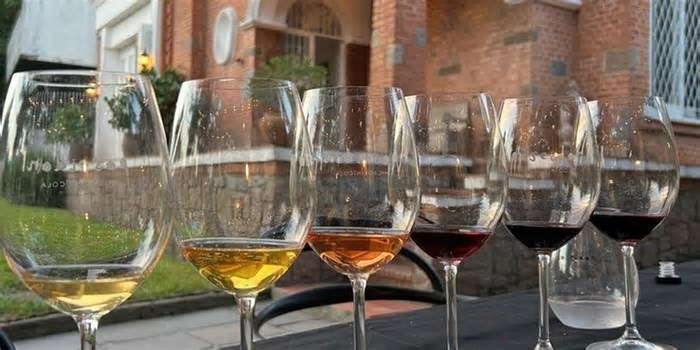 Pequenas Notáveis: Vinícolas Gaúchas Brilham no Rota Rara