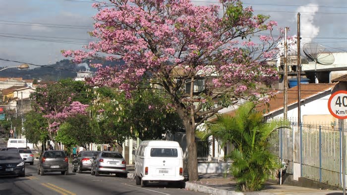 Cidade no interior do Rio de Janeiro oferece qualidade de vida e cultura