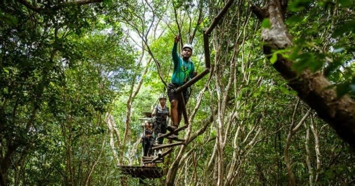 Davidson pelo Mundo: Turismo brasileiro em constante mutação