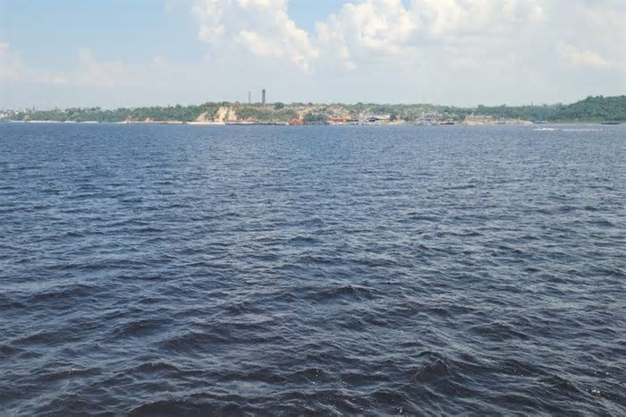 Rio Negro ultrapassa cota de inundação em Manaus, no Amazonas