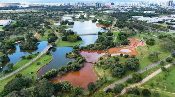 Brasília é a 5° capital mais arborizada do Brasil