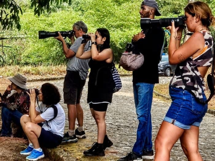 Recife ganha projeto de educação ambiental através da observação de aves em parques e praças