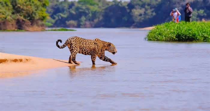 6 destinos perfeitos para você conhecer os biomas do Brasil