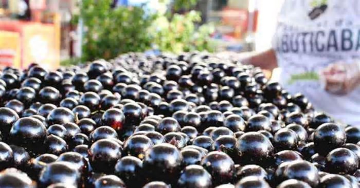 Melhores frutas do planeta: lista tem 3 brasileiras, duas no Top10