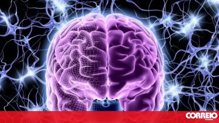 Estudo demonstra impacto de doenças crónicas no envelhecimento do cérebro