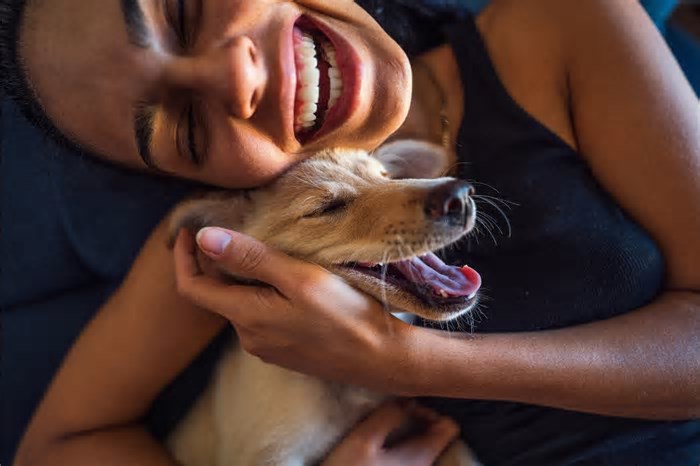 Como fazer a nova trend de IA que transforma o seu cachorro em humano