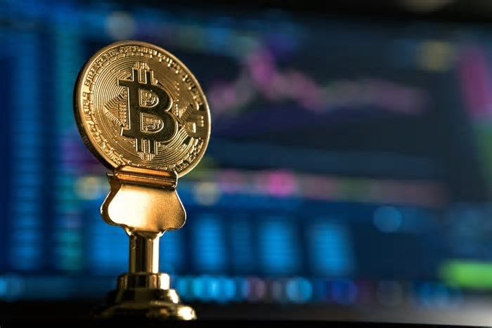 Savvy Mining: aproveite a legalização e ganhe até US$ 17 mil por dia