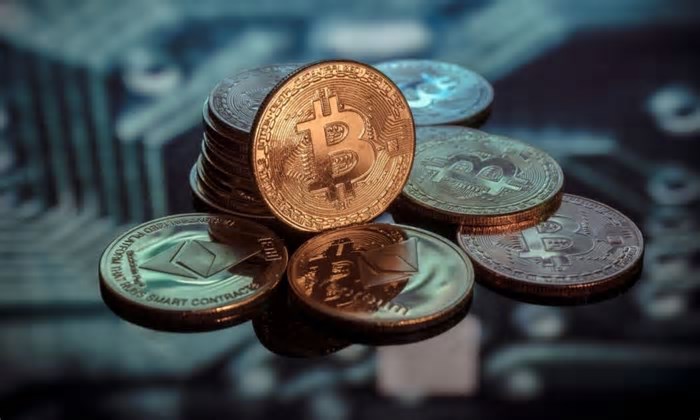 Declarar criptomoedas no imposto de renda: entenda a obrigatoriedade e como fazer
