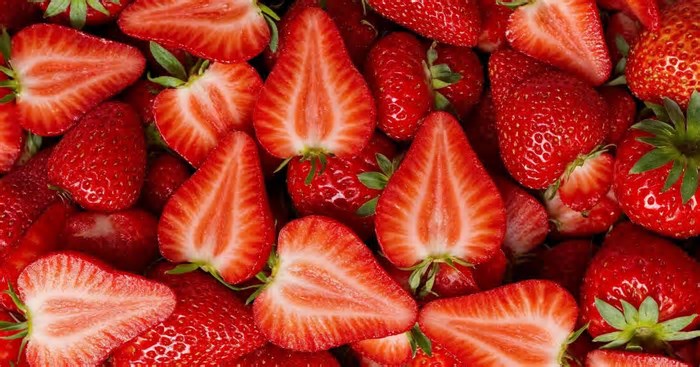 Festa do Morango tem concurso da ‘Rainha do Morango’ com prêmio; veja como participar e votar