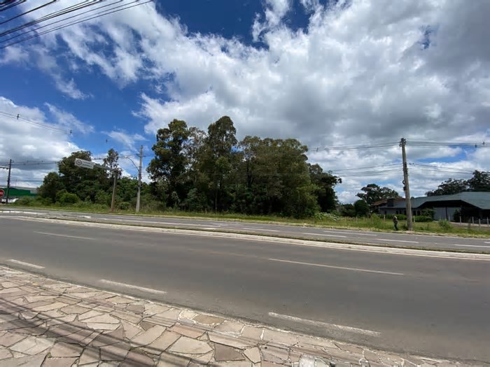Empresa vai investir R$ 50 milhões para construir atacarejo em Gramado