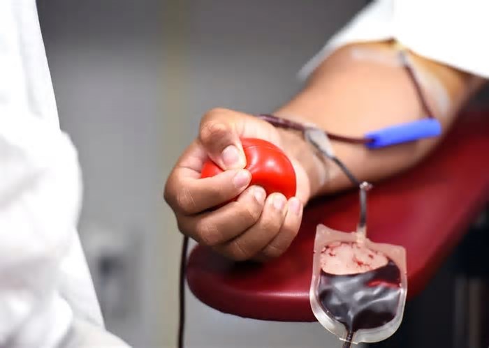 Empresária de Gramado que luta contra leucemia realiza campanha de doação de sangue; saiba como ajudar