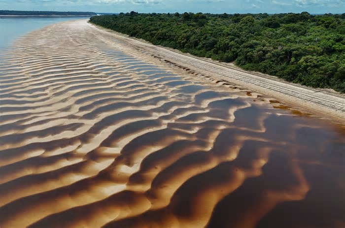 Prêmio Jovem Cientista buscará respostas a problemas climáticos