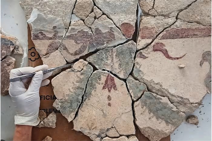 Mais de 4 mil fragmentos de antigos murais romanos são achados na Espanha