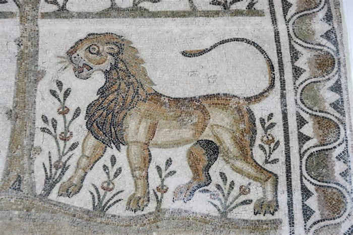 Marcas de mordidas são 1ª prova direta de luta de gladiador com leão no Império Romano