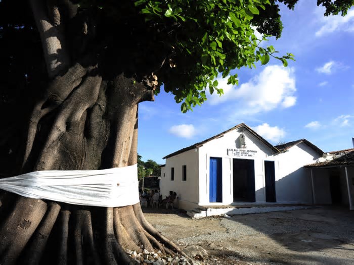 Festa dos Tambores reúne cortejo de afoxé, maracatu, orquestra de frevo, artesanato e gastronomia