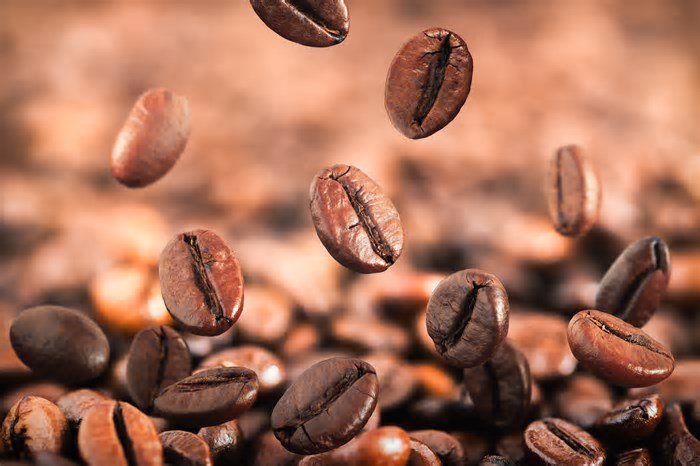 De Minas para Manhattan: cafés brasileiros ganham espaço na cultura do nova-iorquino